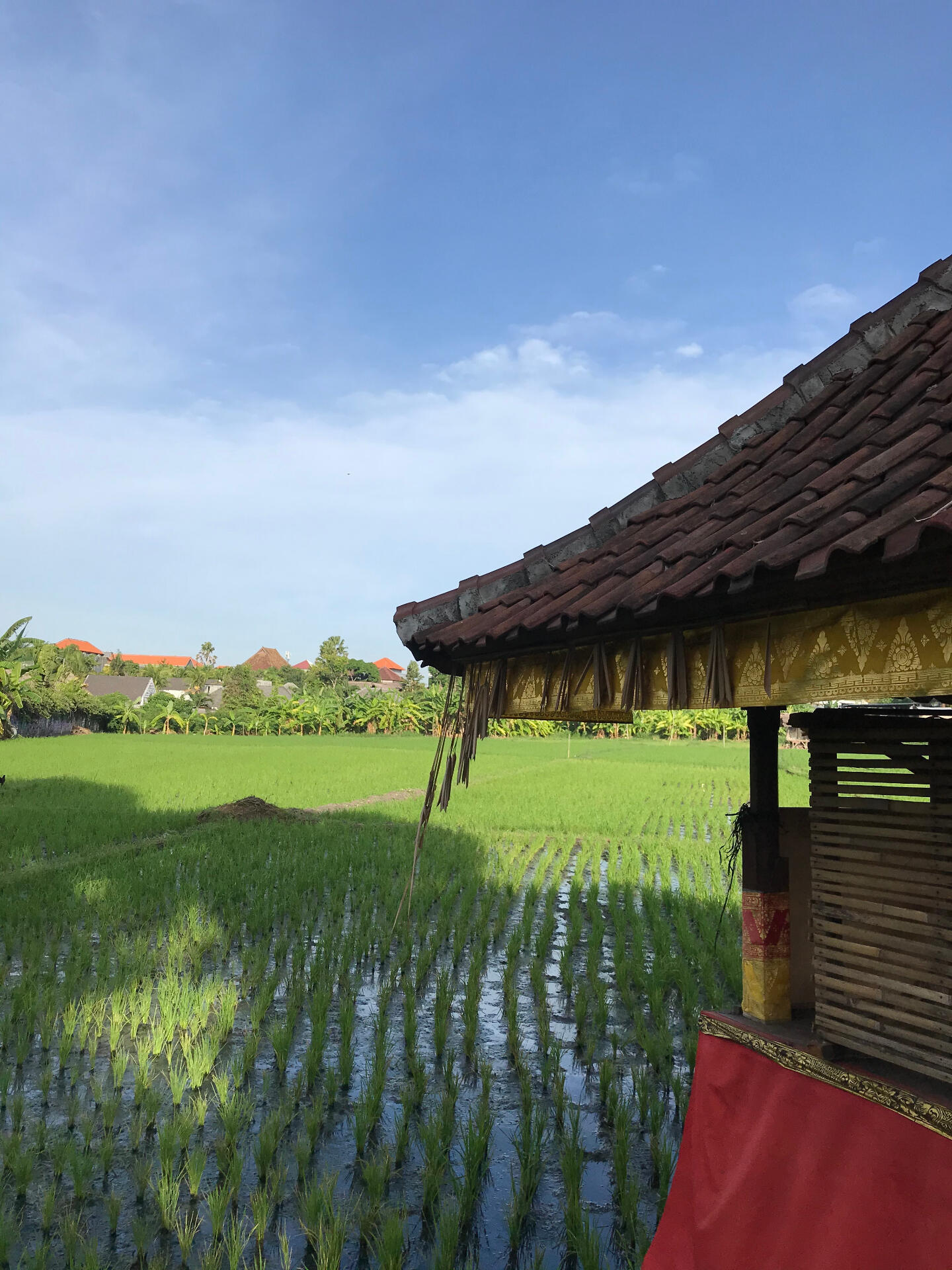 building in progress